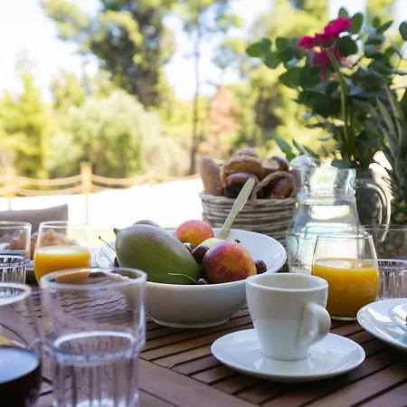 The Euphoria Club Luxury Villa